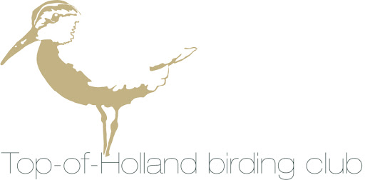 Top-of-holland birding club
